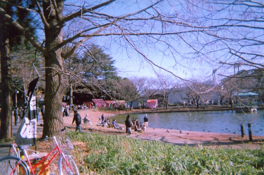 2009年元日の大宮公園