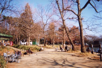 さいたま市、大宮公園　2006年1月